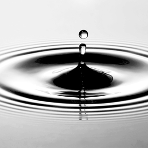 B-BBEE in South Africa: From Compliance to Strategic Growth