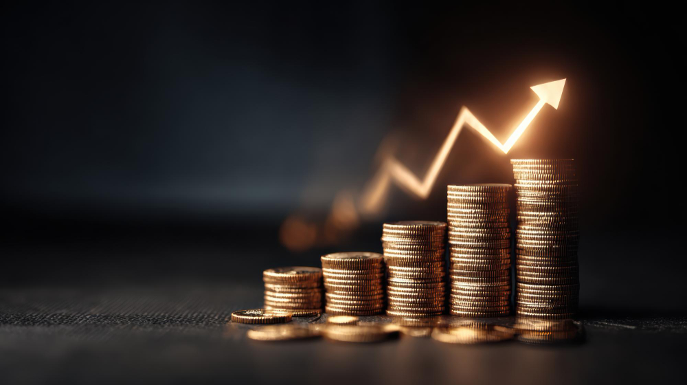 What Makes a South African Business Investment Ready in 2026